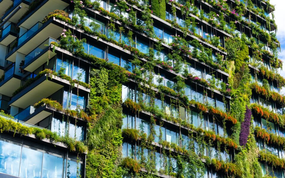 THE FUTURE BELONGS TO SUSTAINABLE BUILDINGS -